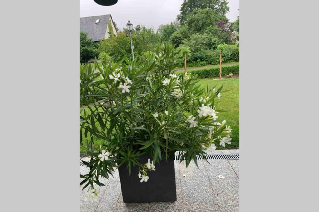 Apartment Gemuetliche Im Hunsrueck Dill